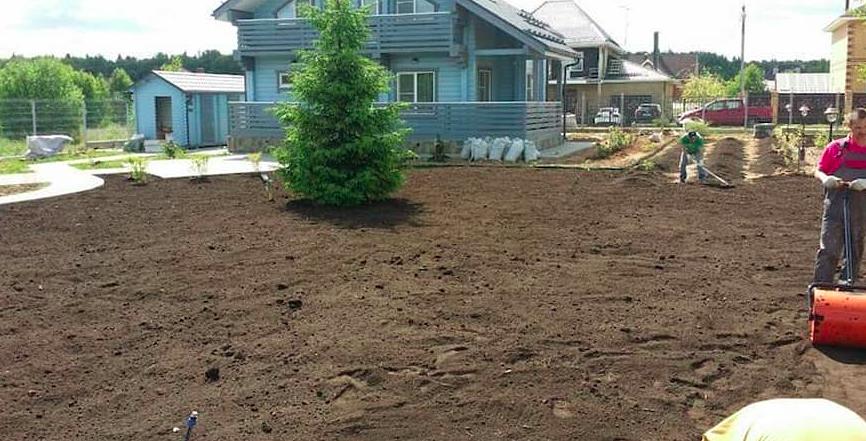 Выравнивание земельного участка Ленинградская область фото 3