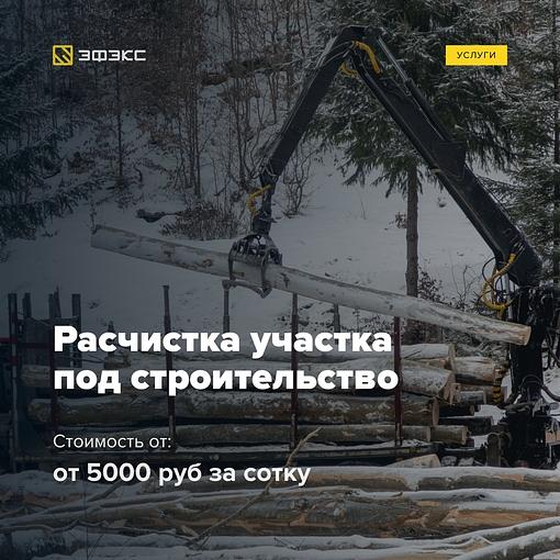 Расчистка участка под строительство Ленинградская область фото 1