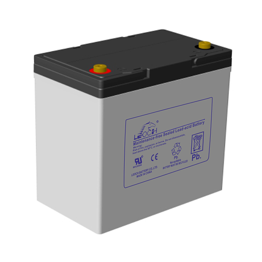 Leoch Батарея DJM1255 (12V 55Ah) фото 1