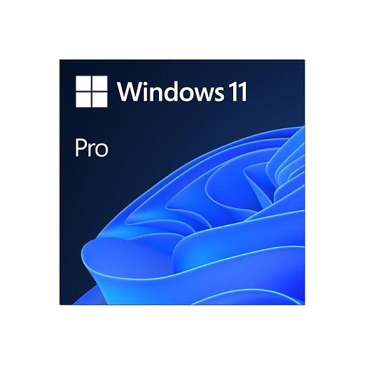 Windows 11 Professional FPP (ESD) 64-bit All Languages (FQC-10572) фото 1