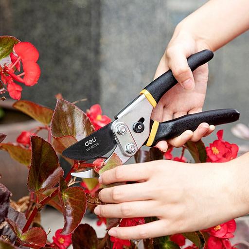 Секатор садовый Deli DL580204 лезвия с тефлоновым покрытием, длина 200мм, макс.диаметр резки 15мм, сталь 55С фото 2