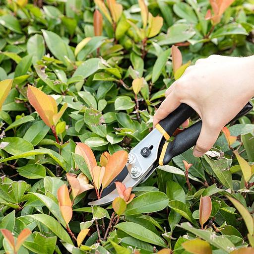 Секатор садовый Deli DL580204 лезвия с тефлоновым покрытием, длина 200мм, макс.диаметр резки 15мм, сталь 55С фото 9