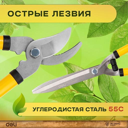 Набор сучкорез, кусторез, секатор Deli DL580003 длина 67/52/20 см, макс. диаметр реза 30/6/15 мм, сталь 55С фото 8