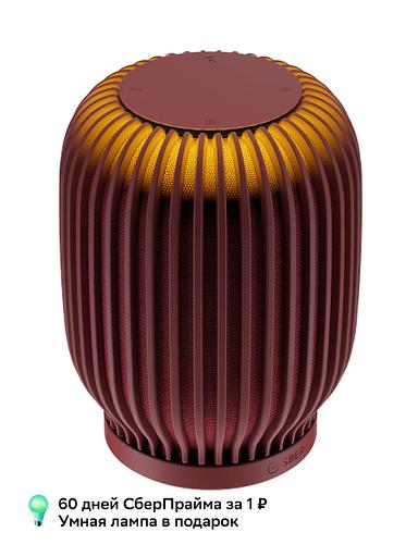 Акустическая система серии SberBoom модели SBDV-00090, цвет терракотовый, торговой марки SBER фото 4