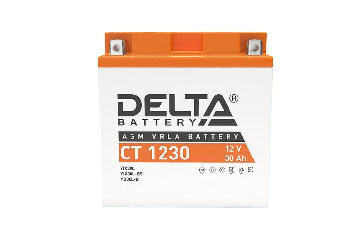 Аккумуляторная батарея DELTA BATTERY CT 1230 фото 2