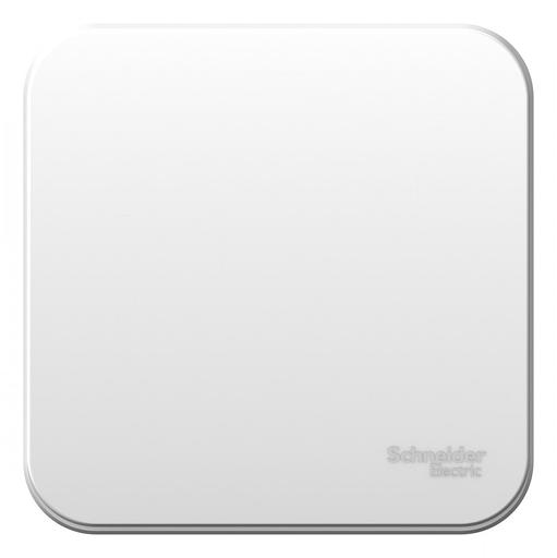 Systeme electric BLNVA101011 BLANCA О/У 1-клавишный ВЫКЛЮЧАТЕЛЬ ( c х.1) ИЗОЛ.ПЛ., 10А, 250B,БЕЛЫЙ фото 4