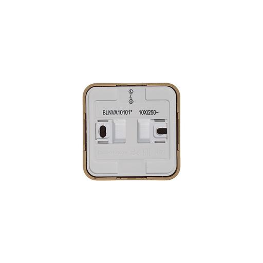 Systeme electric BLNVA101015 BLANCA О/У 1-клавишный ВЫКЛЮЧАТЕЛЬ ( c х.1) ИЗОЛ.ПЛ., 10А, 250B, ЯСЕНЬ фото 4