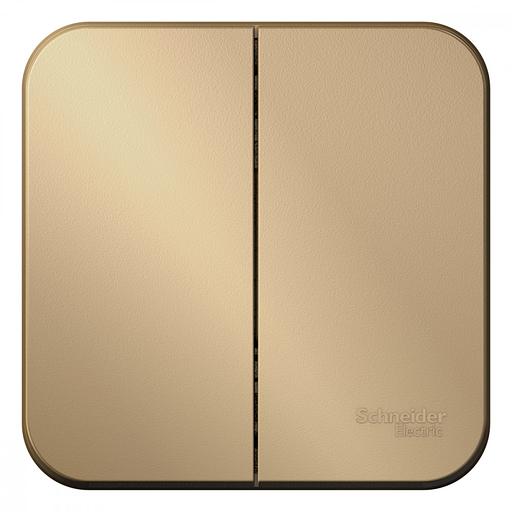 Systeme electric BLNVA105014 BLANCA О/У 2-клавишный ВЫКЛЮЧАТЕЛЬ ( c х.5) ИЗОЛ.ПЛ., 10А, 250B, ТИТАН фото 1