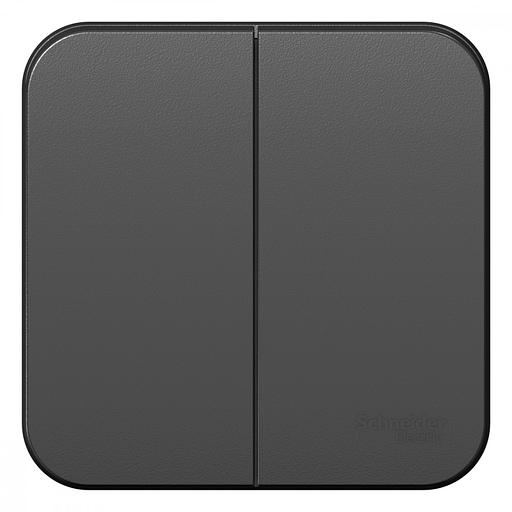 Systeme electric BLNVA105016 BLANCA О/У 2-клавишный ВЫКЛЮЧАТЕЛЬ ( c х.5) ИЗОЛ.ПЛ., 10А, 250B, АНТРАЦИТ фото 1