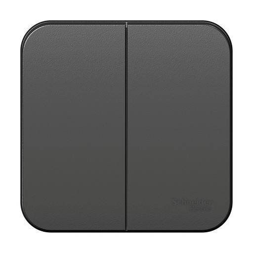 Systeme electric BLNVA105016 BLANCA О/У 2-клавишный ВЫКЛЮЧАТЕЛЬ ( c х.5) ИЗОЛ.ПЛ., 10А, 250B, АНТРАЦИТ фото 3