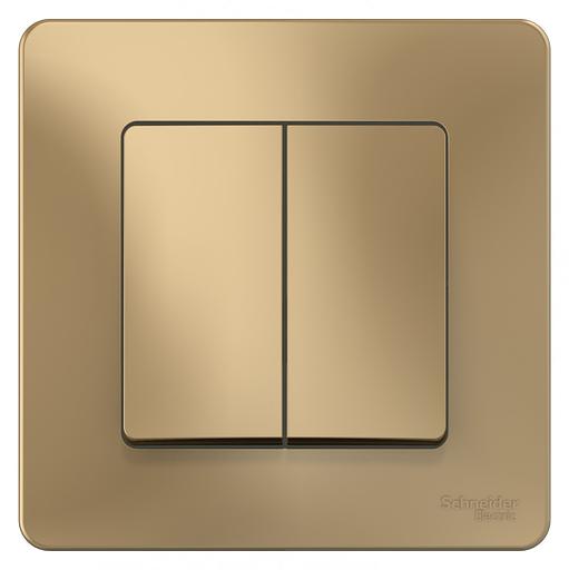 Systeme electric BLNVS010504 BLANCA С/У 2-клавишный ВЫКЛЮЧАТЕЛЬ ( c х.5), 10А, 250B, ТИТАН фото 1