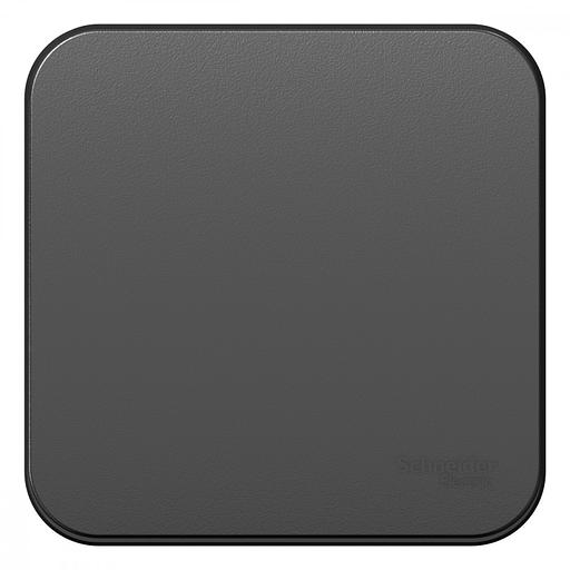 Systeme electric BLNVA106016 BLANCA О/У 1-клавишный ПЕРЕКЛЮЧАТЕЛЬ ( c х.6) ИЗОЛ.ПЛ, 10А, 250B, АНТРАЦИТ фото 2