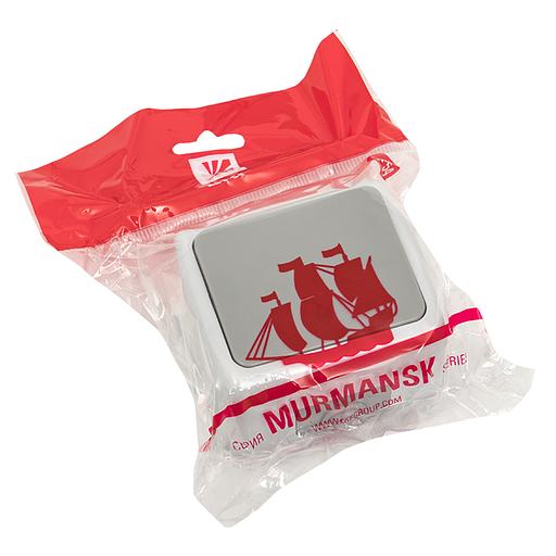 EKF EFV10-025-30-54 Мурманск Выключатель проходной 1-клавишный 10А IP54 серый EKF фото 2