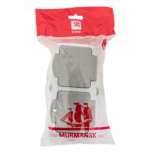 EKF EFR16-129-30-54 Мурманск Розетка 2-местная 16А с заземлением с крышкой IP54 серый с защитными шторками EKF фото 2