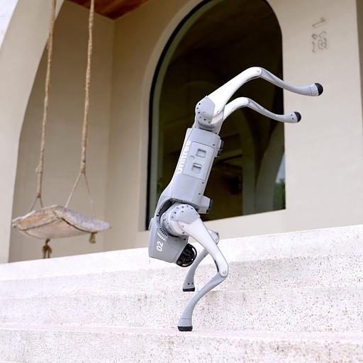 Бионический четырехопорный робот бренда Unitree модели Go2 версии AIR фото 8