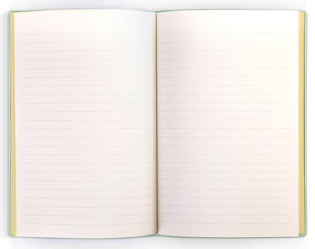 Блокнот Deli EN140LGREEN A5 210х143мм искусст. кожа 96л линейка мягкая обложка зеленый фото 2