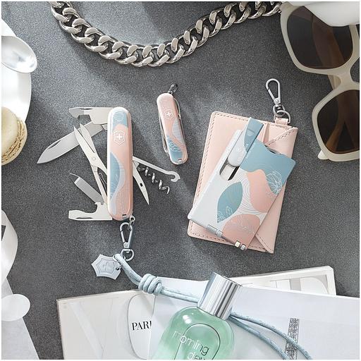 Швейцарская карта Victorinox Swiss Card Classic Paris Style (0.7100.E221) коробка подарочная фото 3