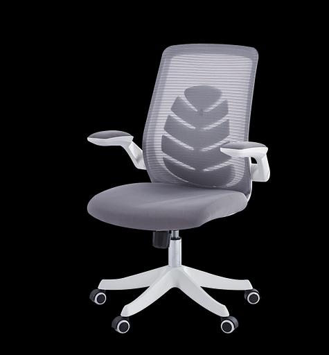 Офисное кресло Chairman CH565 белый пластик, серый (7146049) фото 1