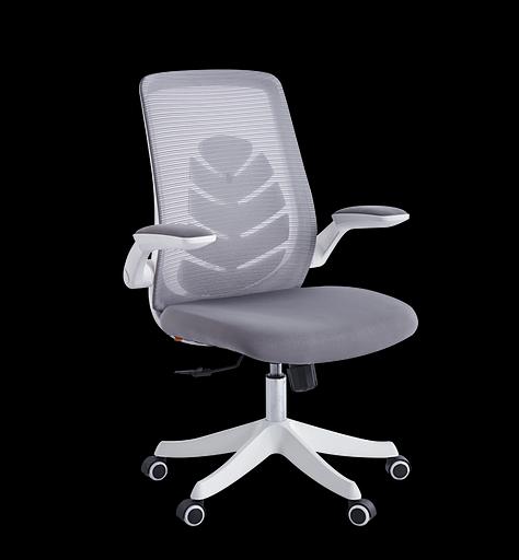 Офисное кресло Chairman CH565 белый пластик, серый (7146049) фото 5