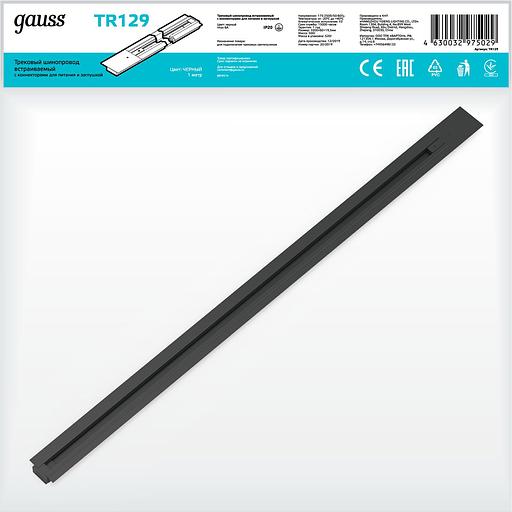 Шинопровод встраиваемый 1м черный (с адаптером питания и заглушкой) однофазный Gauss Gauss TR129 фото 3