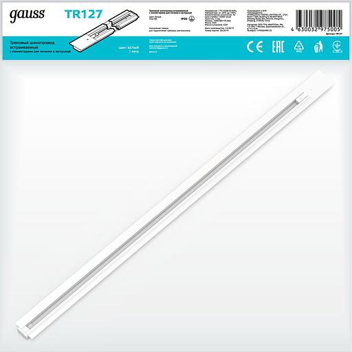 Шинопровод встраиваемый 1м белый (с адаптером питания и заглушкой) однофазный Gauss Gauss TR127 фото 3