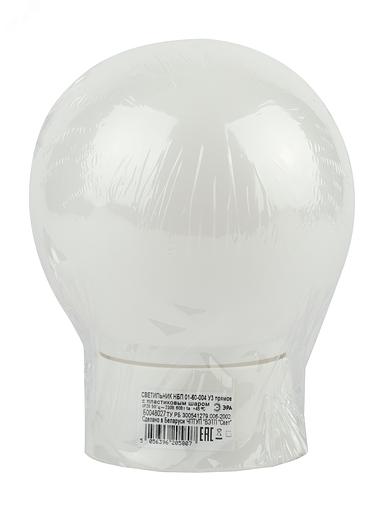 Светильник пластик, пл-н полиэтилен, 60Вт, Е27, IP20, УХЛ1, 150х150 мм НБП 01-60-004 ЭРА Б0048027 фото 2