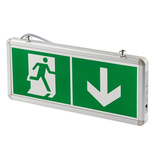 Светильник аварийный светодиодный 1,5ч 3Вт БЕЗ ТЕКСТА SSA-101-0-20 ЭРА Б0044387 фото 6