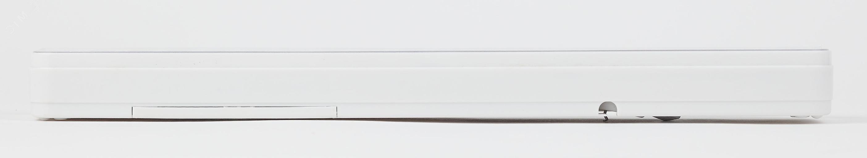 Светильник светодиодный аварийный постоянный DBA-106-0-20 60LED 6ч IP20 (24/864) ЭРА Б0044399 фото 3