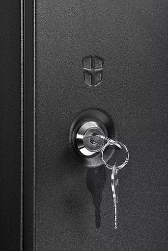 ЦМО Шкаф телекоммуникационный настенный разборный ЭКОНОМ 15U (600? 650) дверь металл, цвет ченрый (ШРН-Э-15.650.1-9005) фото 5