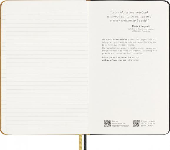 Блокнот Moleskine LIMITED EDITION YEAR OF THE DRAGON LECNYDRAGONQP060AS 130х210мм обложка текстиль 176стр. линейка золотистый Ahn Sang Soo фото 8