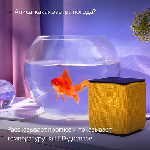 Умная колонка Yandex Станция Миди YNDX-00054ORG Алиса оранжевый 24W 1.0 BT/Wi-Fi 10м фото 10