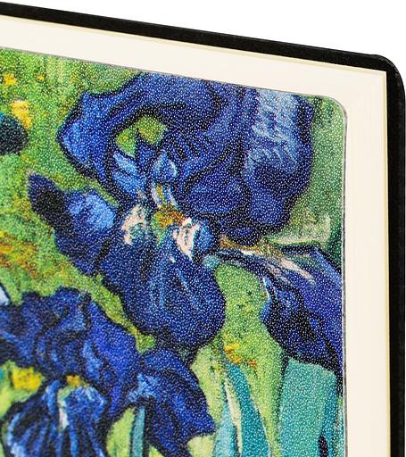 Ежедневник Deli VG CN146 A5 недатир. 136стр. ассорти Поле фото 3