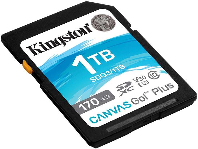 Флеш карта SDXC 1TB Kingston SDG3/1TB Canvas Go! Plus w/o adapter фото 2