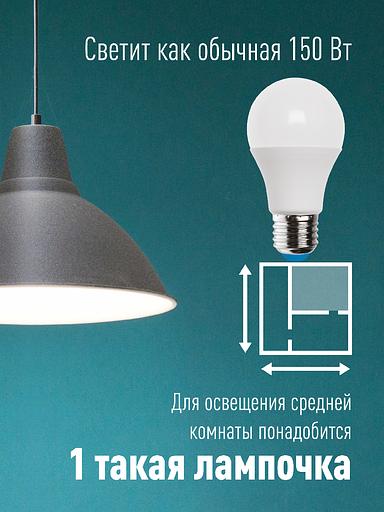 Лампа светодиодная LED 25Вт 220В E27 D65х130 6500К холодный A65 фото 3