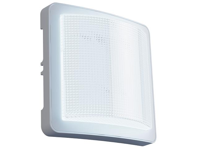 Светильник светодиодный диммируемый ДБП Эконом-ЖКХ LED, 6Вт, 670Лм, CRI80, с автоматическим уменьшением яркости на 75% в тишине, антивандальный с защитой от краж, IP20, 5000К фото 1