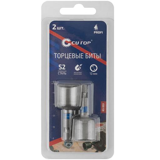 Набор бит с торцевыми магнитными головками 10 мм, 2 шт, Profi, 48 мм фото 1