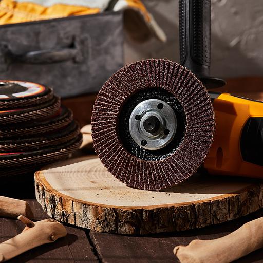 Круг лепестковый торцевой, P60, 115х22,2мм фото 5