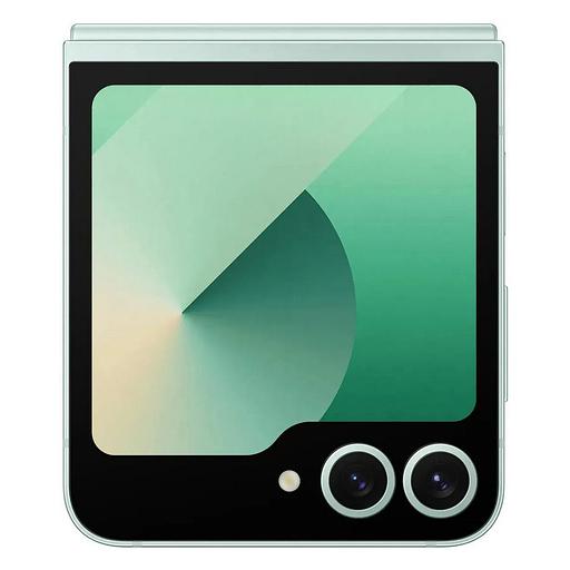 Смартфон Samsung SM-F741B Galaxy Z Flip 6 5G 256Gb 12Gb мятный раскладной 3G 4G 6.7" 1080x2640 Android 14 50Mpix 802.11 a/b/g/n/ac/ax NFC GPS GSM900/1800 GSM1900 TouchSc Protect фото 5
