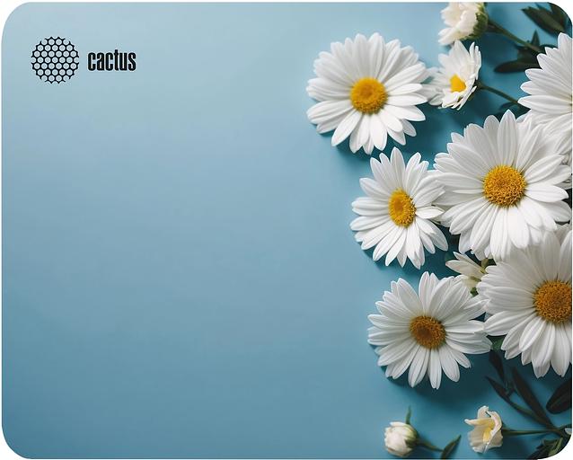 Коврик для мыши Cactus Daisies 250x200x3мм (CS-MP-D07S) фото 1