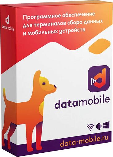 Лицензия DataMobile версия Online Lite подписка на 12г (DMONLINELITE12M) фото 1
