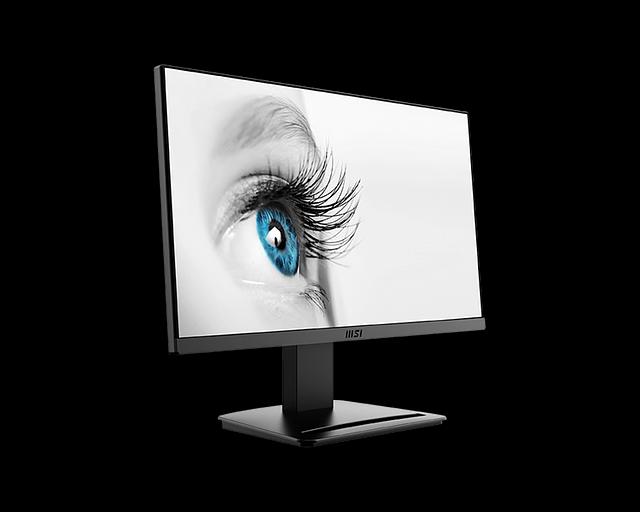 Монитор MSI PRO MP223 E2 21.5" 16:9 FHD(1920x1080) VA Flat,1ms(MPRT),3000:1,100M:1,250nit,178/178,HDMI 1.4b,DP 1.2a,Tilt,VESA,100Hz,Black,1y war-ty (9S6-3PB9CH-026) фото 2