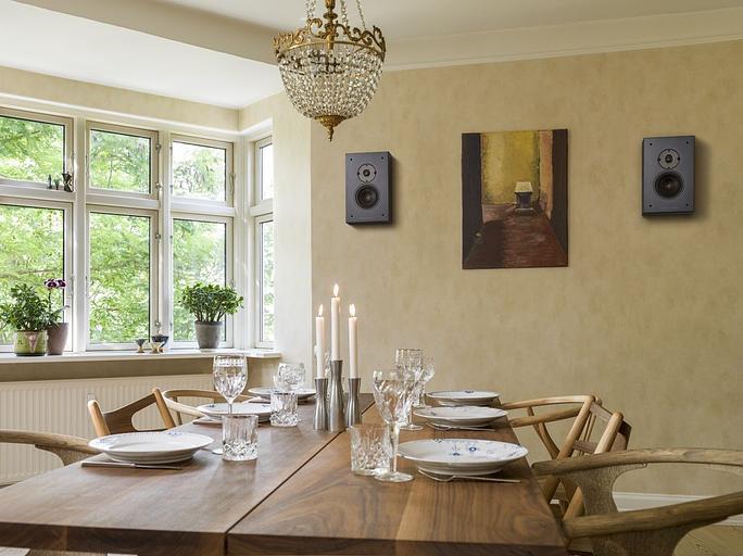 Настенная акустическая система DALI OBERON ON-WALL. Цвет: Черный дуб [BLACK ASH] фото 10