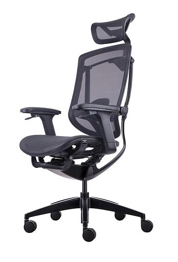 Премиум эргономичное кресло GT Chair Marrit X, черный фото 1