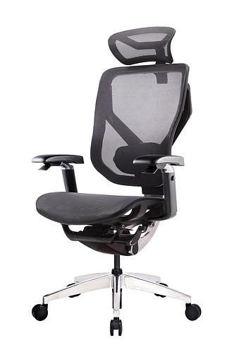 Премиум эргономичное кресло GT Chair VIDA X, черный фото 1