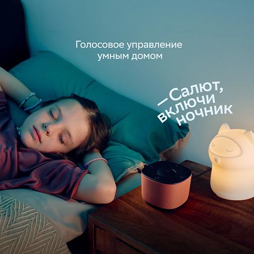 Умная колонка Sber Boom Home SBDV-00171G Салют серый 8W Mono BT/Wi-Fi (без.бат) фото 10