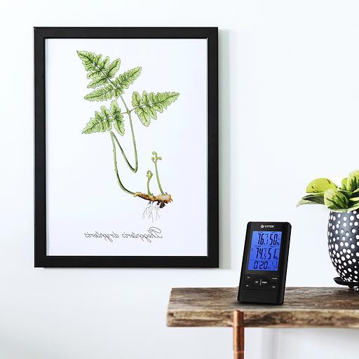 Метеостанция беспроводная Vitek VT-3532 (old) фото 2