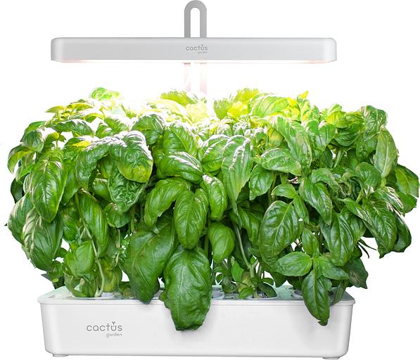 Кашпо Cactus Garden CS-LEDPOT-10 2.0л белый фото 1