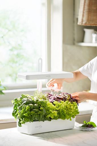 Кашпо Cactus Garden CS-LEDPOT-10 2.0л белый фото 6