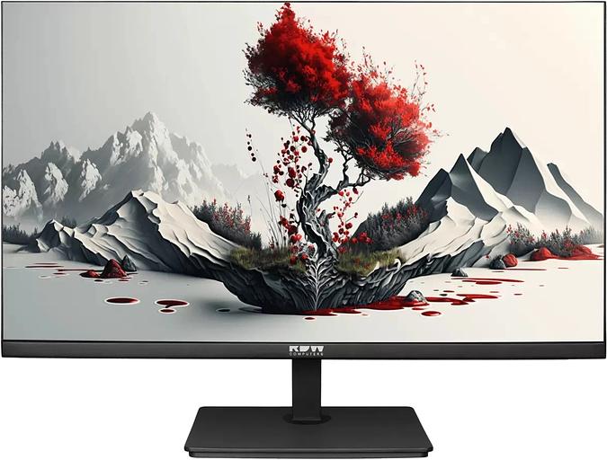 Монитор RDW Computers 23.8" 2401K черный IPS 4ms 16:9 HDMI M/M матовая HAS Piv 1000:1 250.300cd 178гр/178гр 1920x1080 100Hz VGA DP 1.7кг (RUS) фото 1