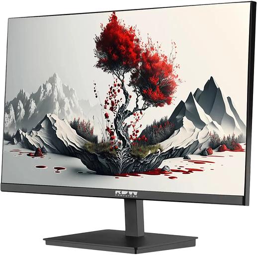 Монитор RDW Computers 23.8" 2401K черный IPS 4ms 16:9 HDMI M/M матовая HAS Piv 1000:1 250.300cd 178гр/178гр 1920x1080 100Hz VGA DP 1.7кг (RUS) фото 3